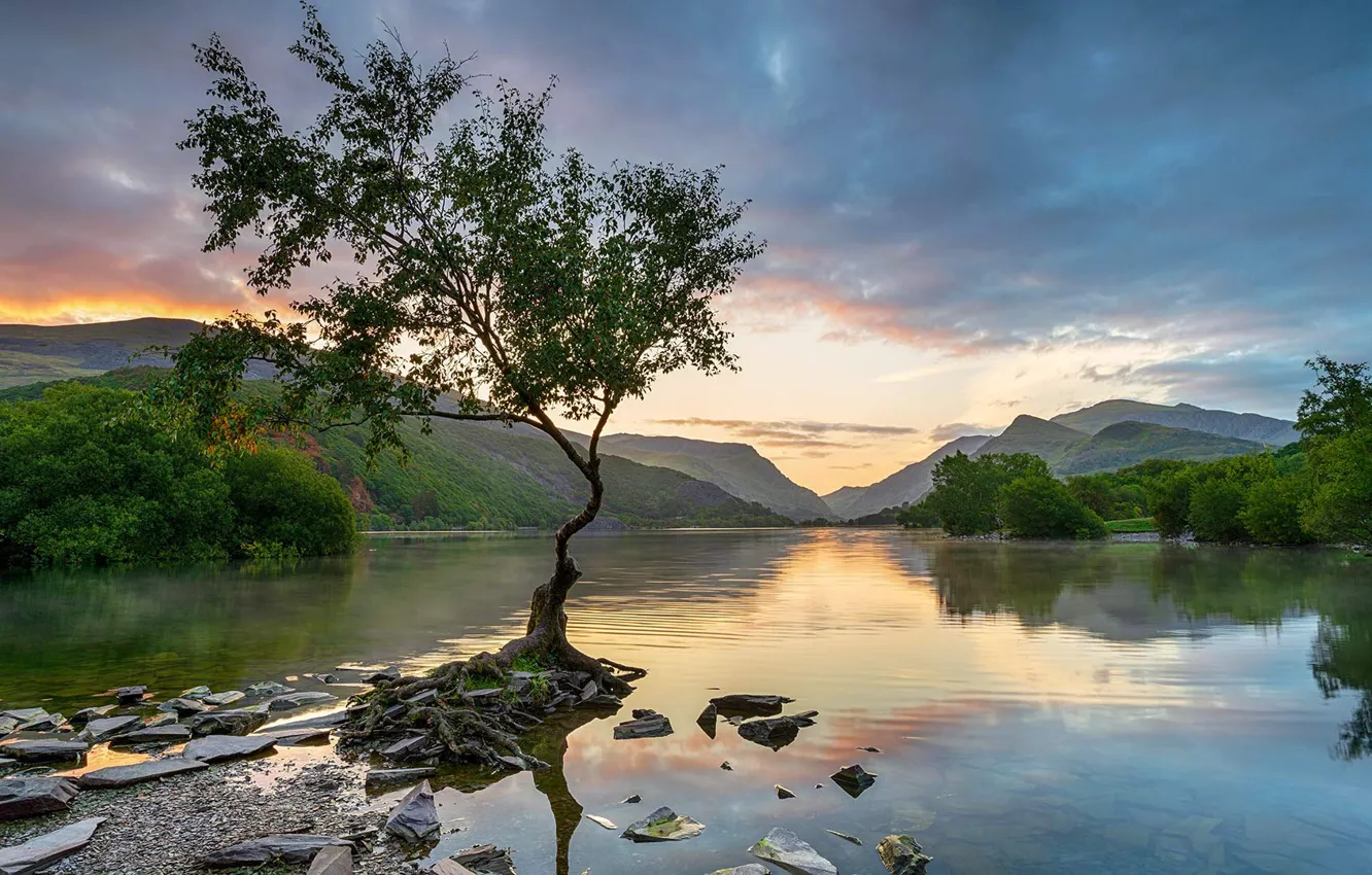 Photo wallpaper trees, lake, Wales, Snowdonia, Llyn Padarn