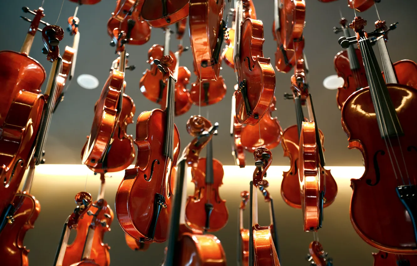 Photo wallpaper background, Shine, lacquer, violin, Violins