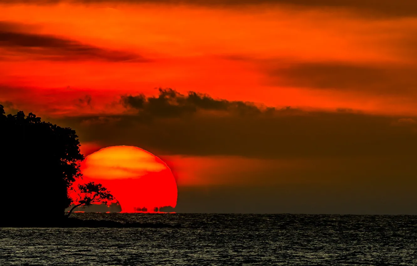 Photo wallpaper sea, the sky, sunset, beauty