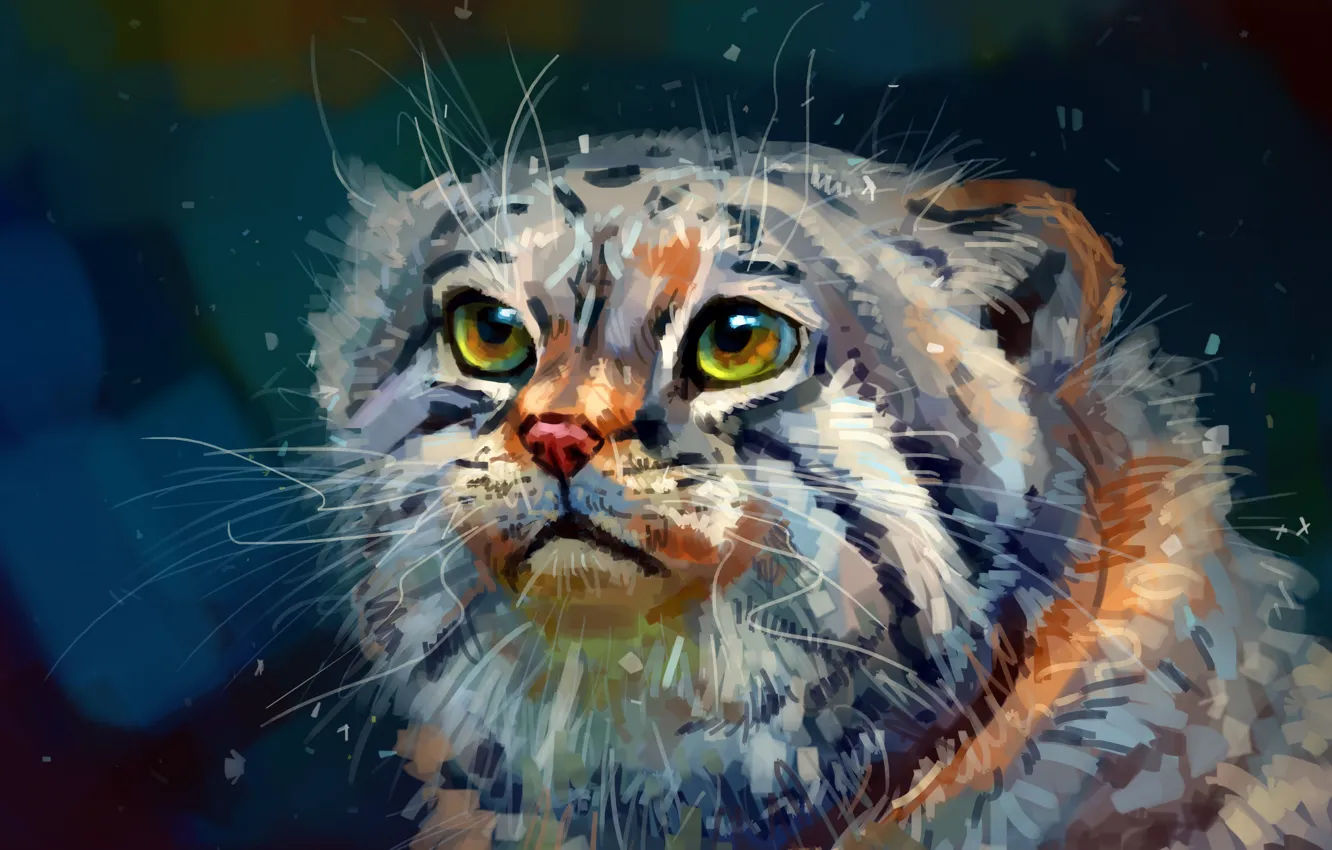 Photo wallpaper cat, background, manul, by AlaxendrA