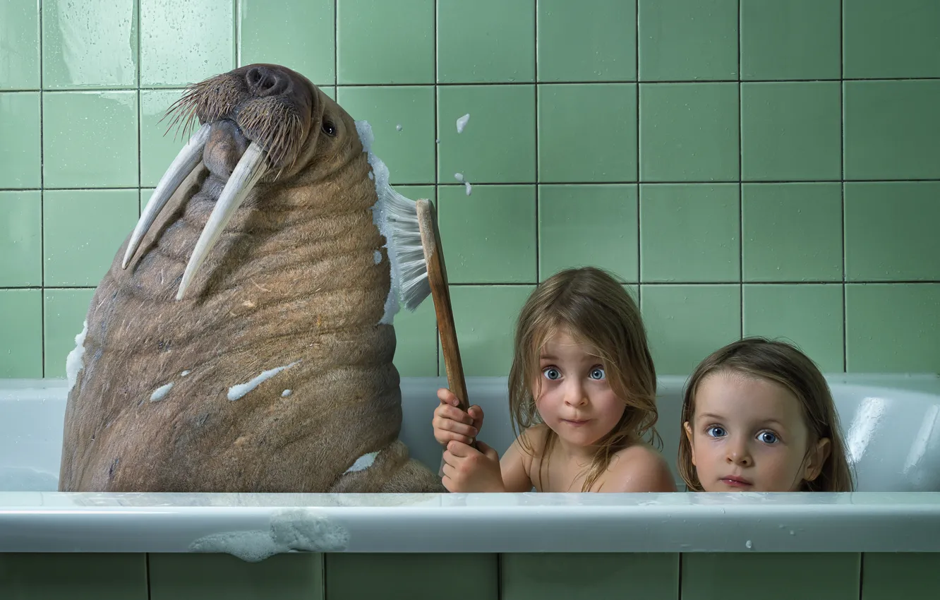 Photo wallpaper foam, children, girls, humor, brush, walrus, bath