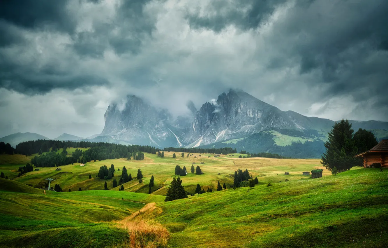 Photo wallpaper field, forest, mountains, Alps, meadow, house