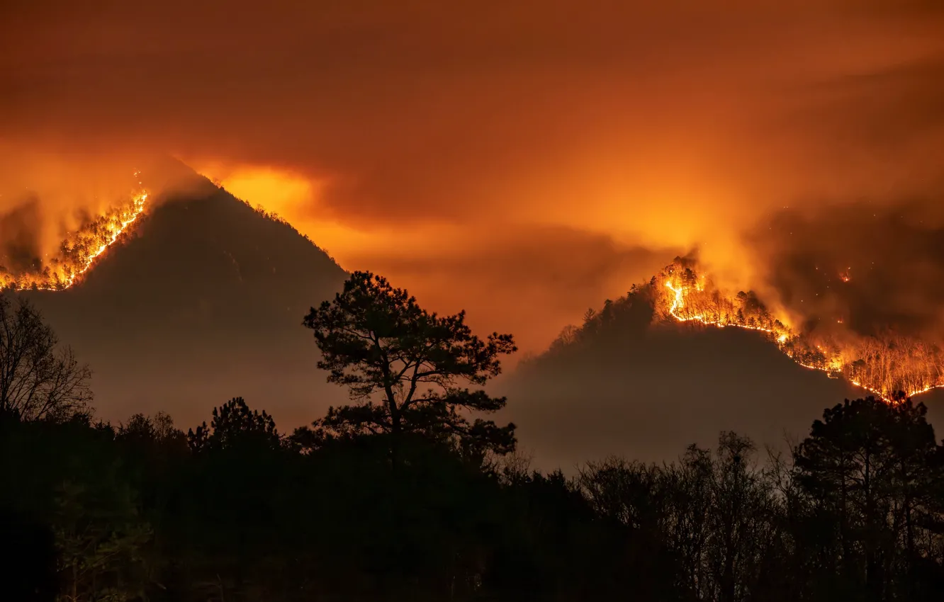 Photo wallpaper forest, mountains, fire