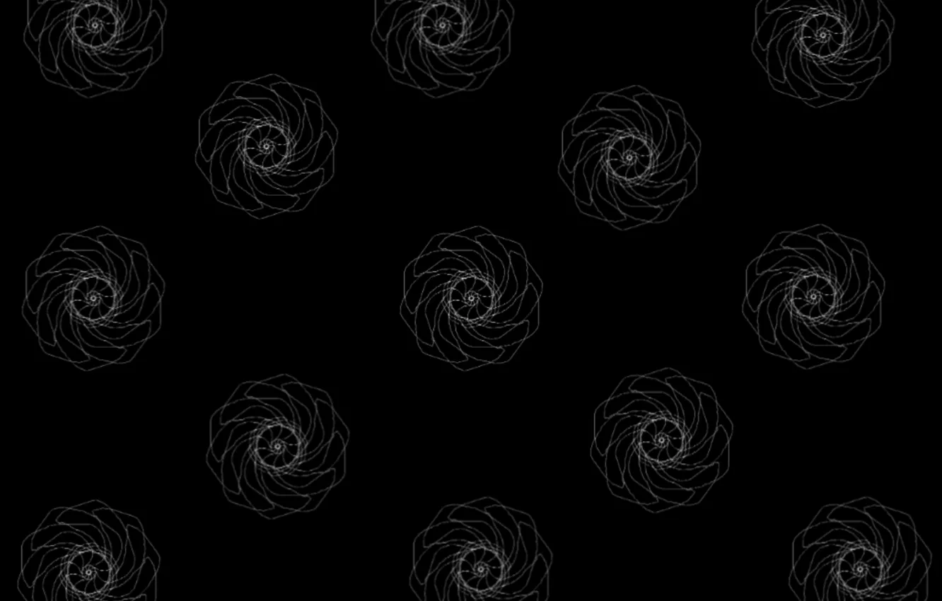 Photo wallpaper line, graphics, texture, black background, white roses