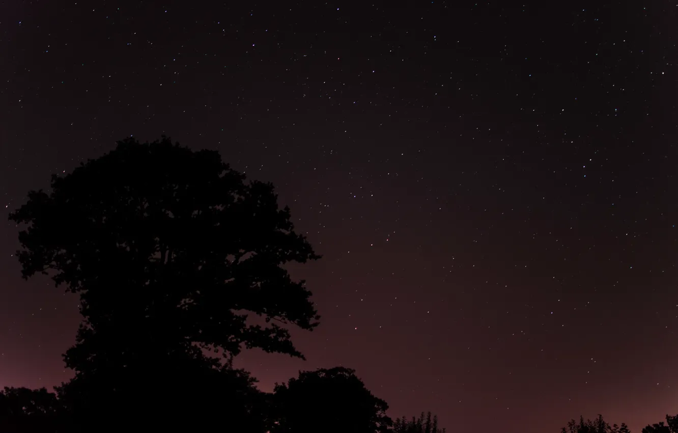 Photo wallpaper space, stars, trees, night