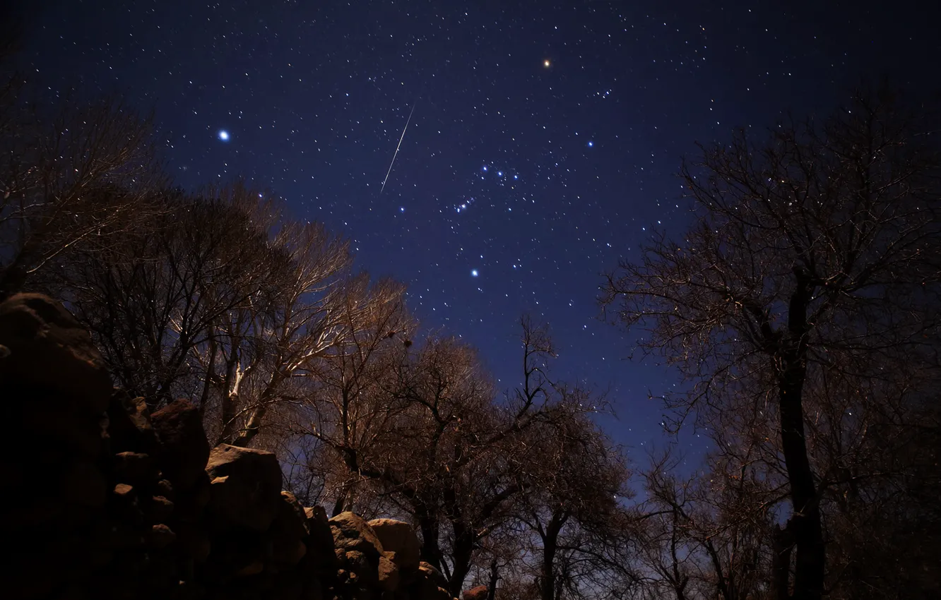 Photo wallpaper stars, meteor, Geminids, Iran