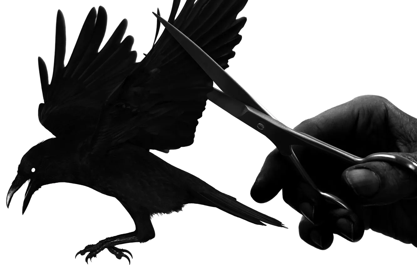 Photo wallpaper freedom, bird, hand, wings, Raven, scissors