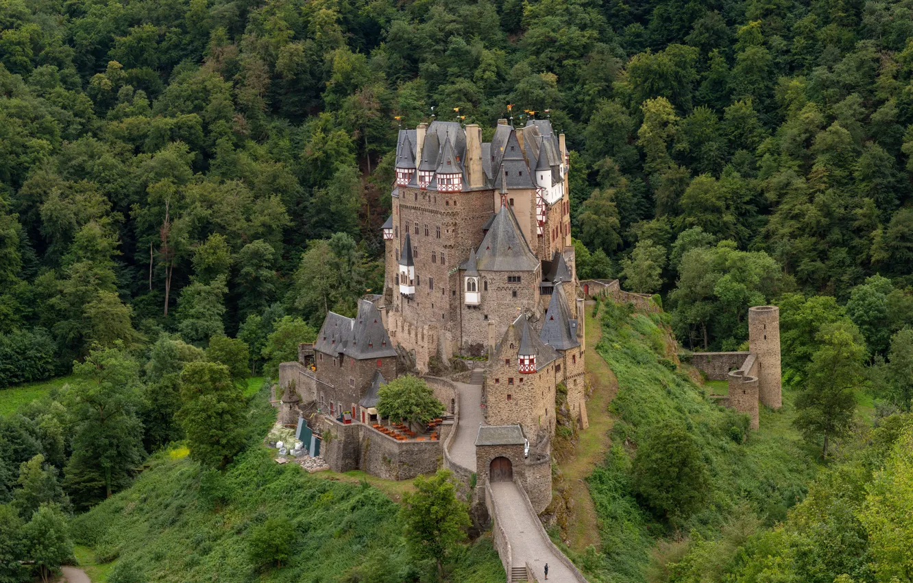 Photo wallpaper forest, bridge, castle, hills, Germany, ELTZ, view from the height