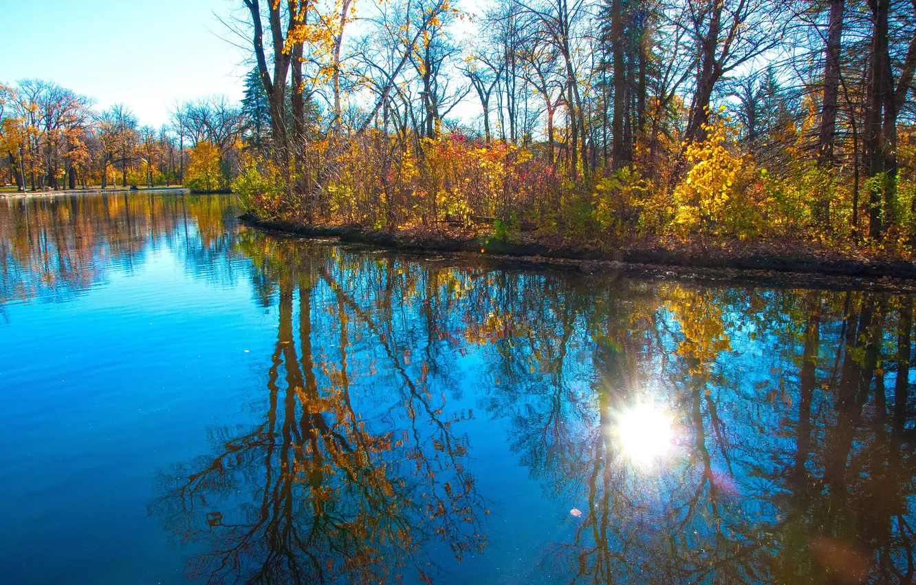 Photo wallpaper autumn, trees, pond, Park, reflection