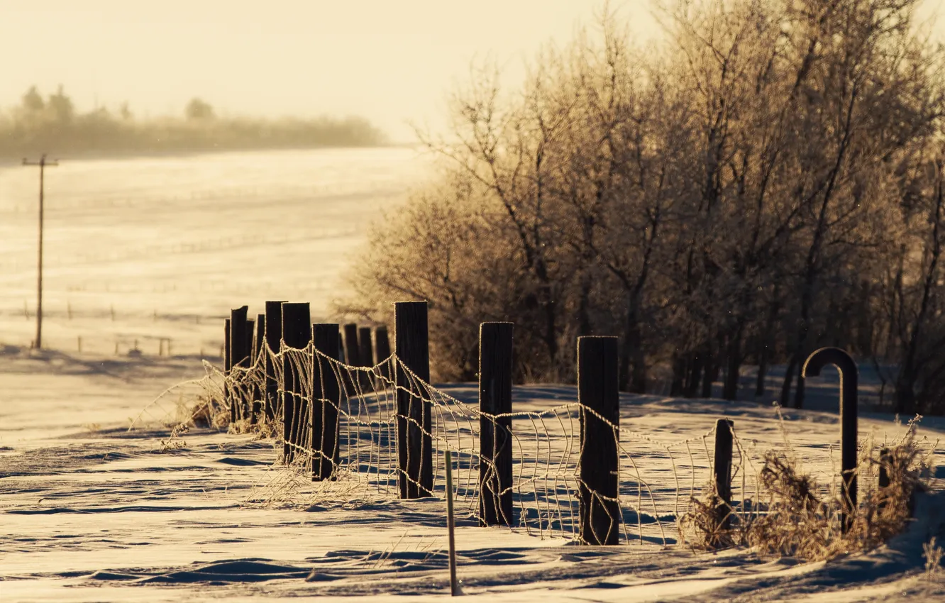 Photo wallpaper winter, snow, nature, the fence, tone