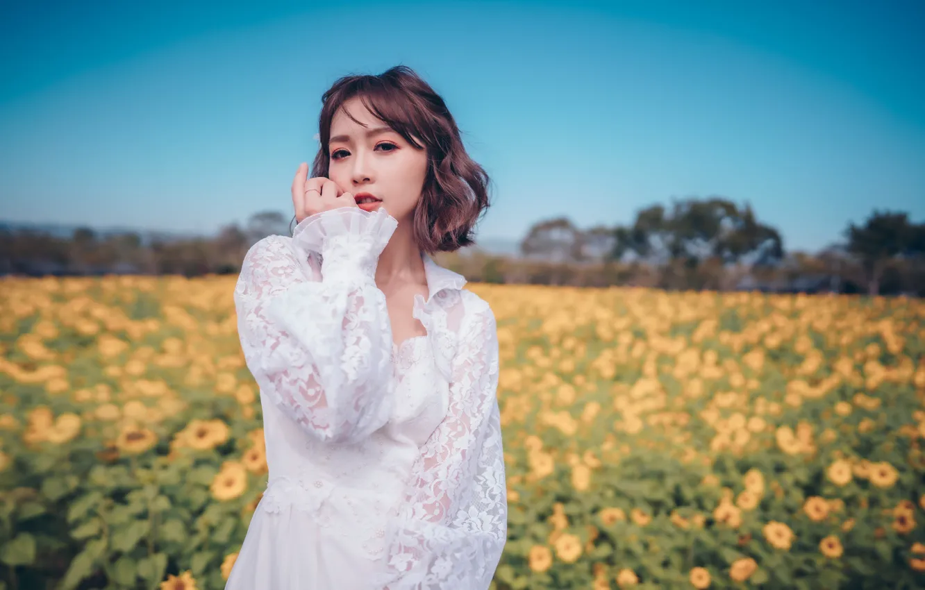 Photo wallpaper field, look, girl, sunflowers, pose, hands, Asian, white dress