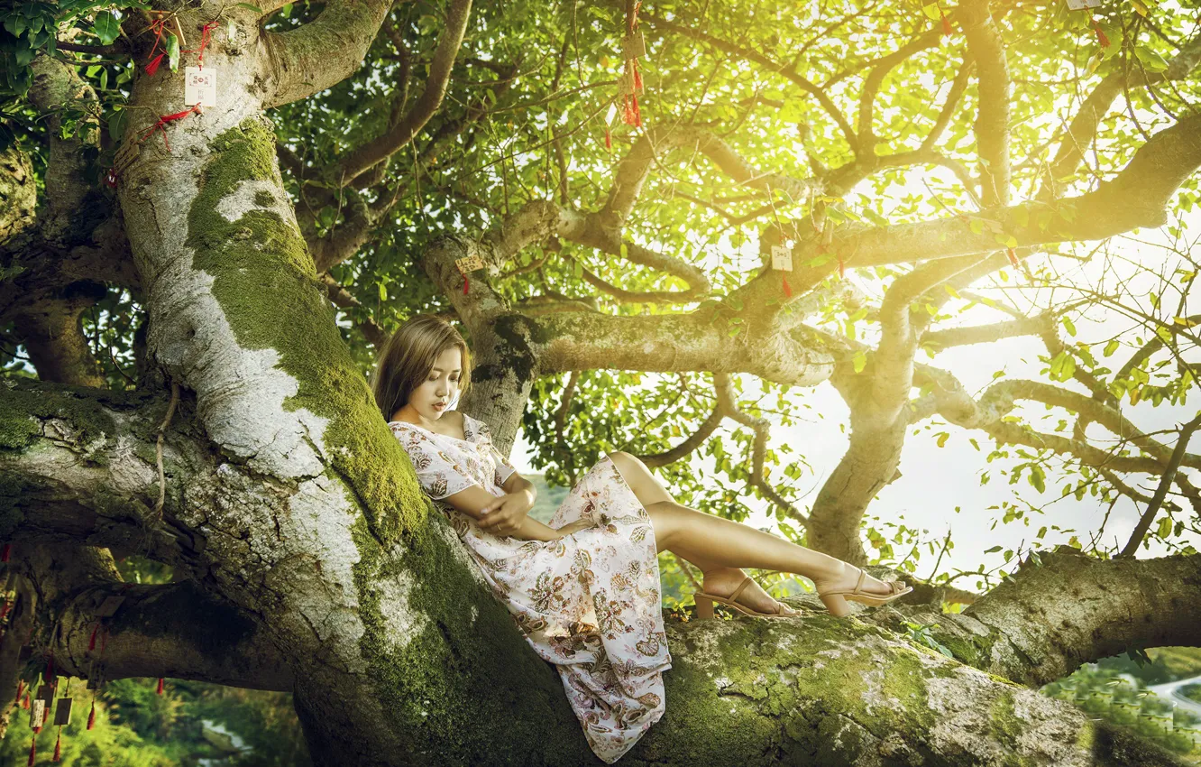 Photo wallpaper girl, nature, tree