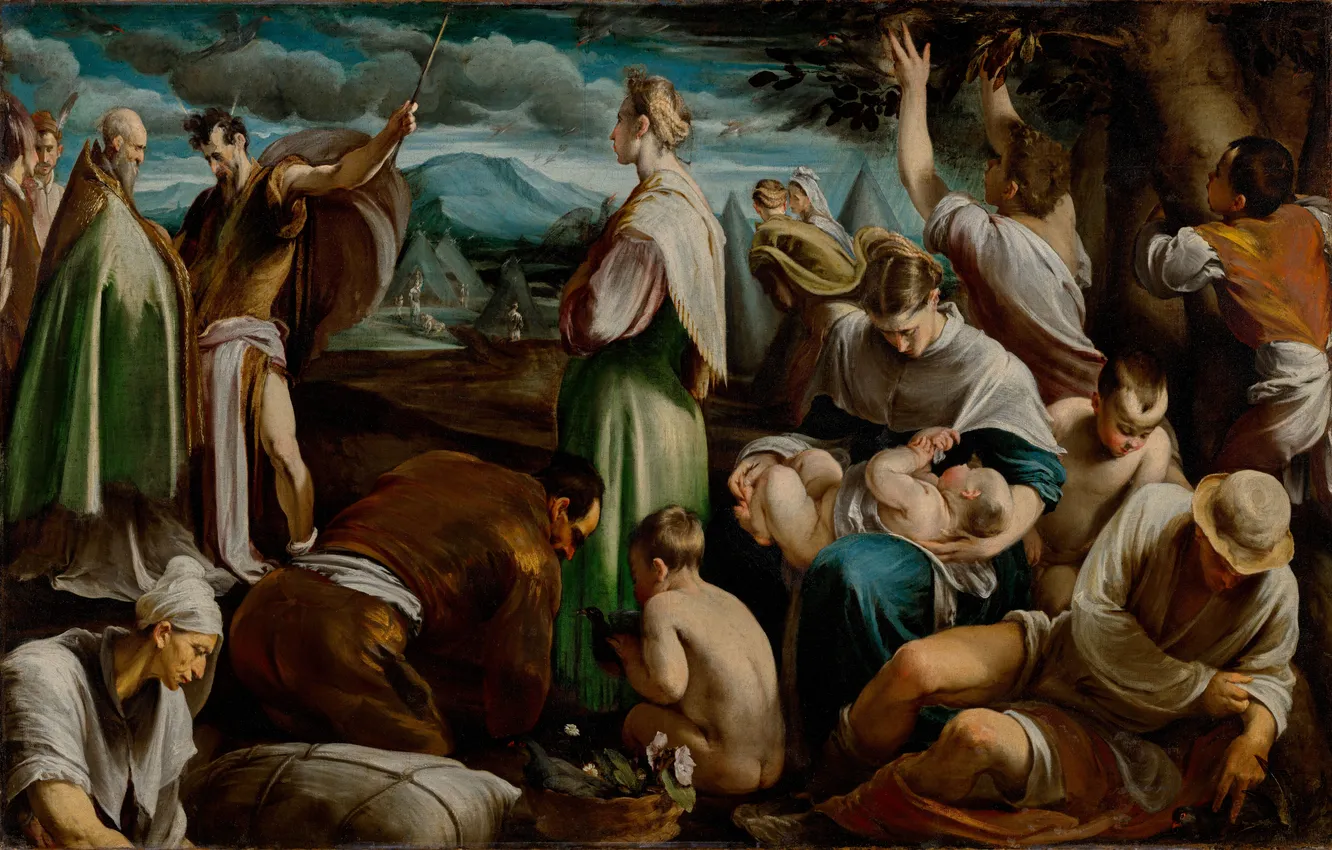 Photo wallpaper People, Picture, Jacopo Bassano, Jacopo Bassano, Italian artist, The miracle of quails