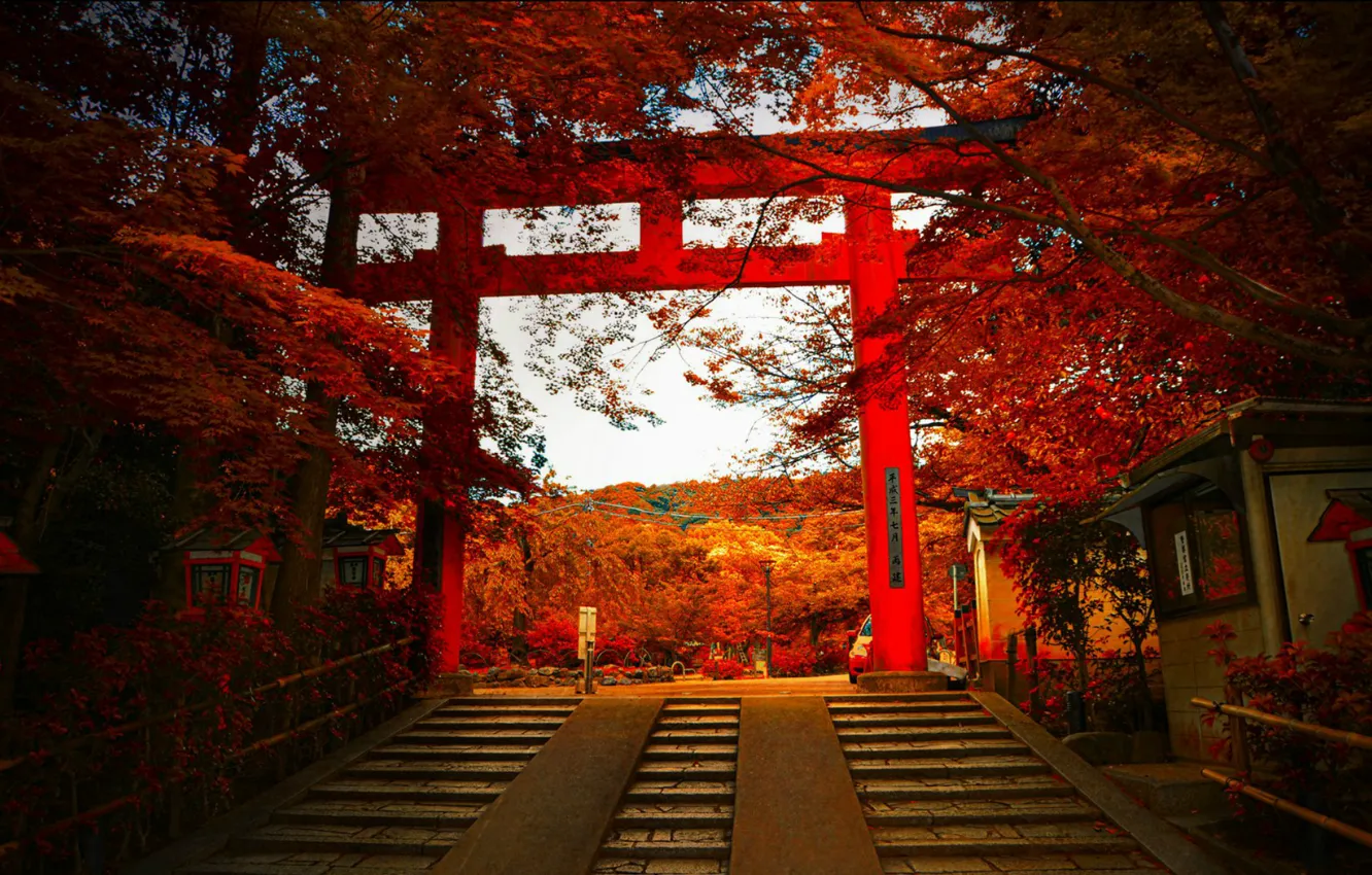 Photo wallpaper autumn, gate, Japan, ladder, Japan