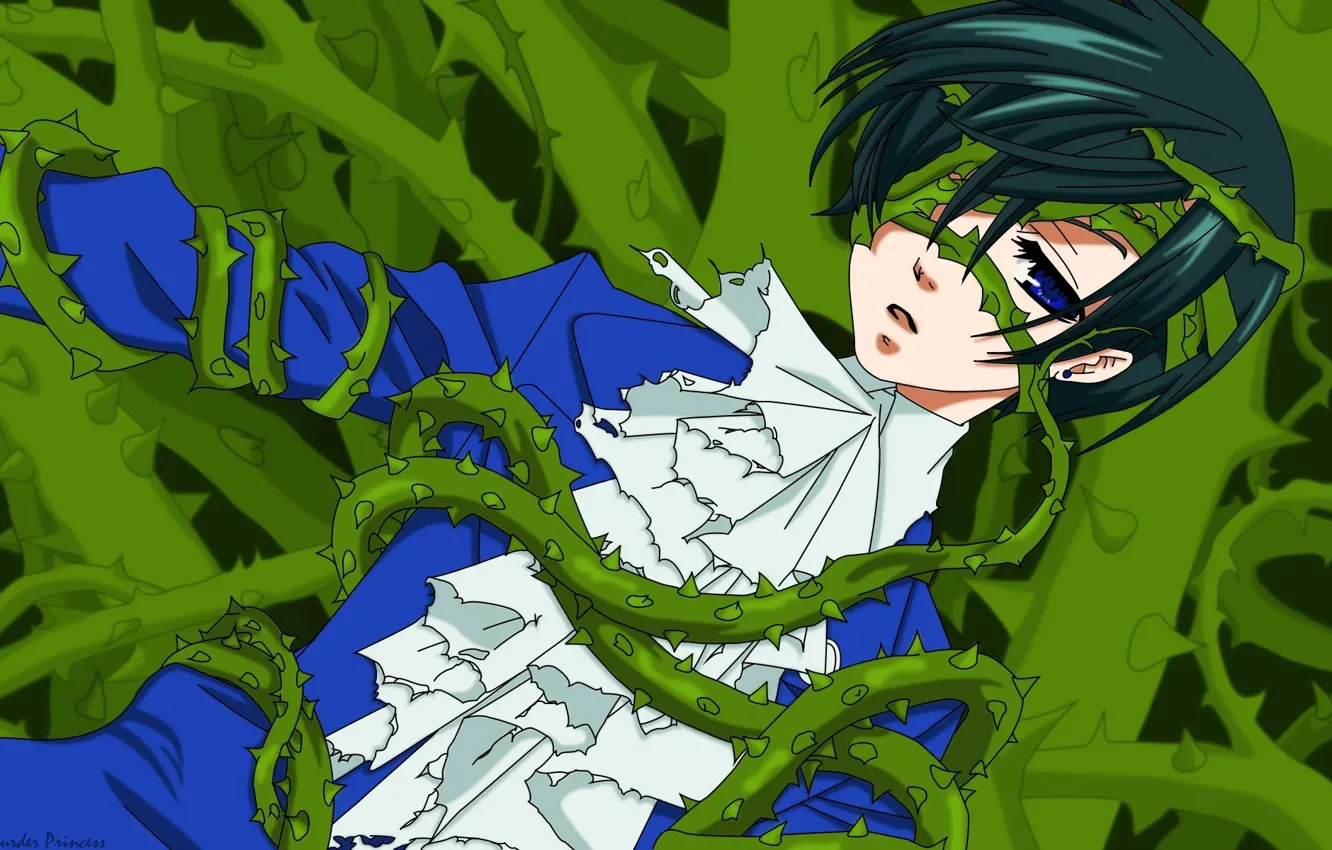 Photo wallpaper headband, art, vines, Dark Butler, Kuroshitsuji, Ciel Phantomhive, frill, Since Toboso