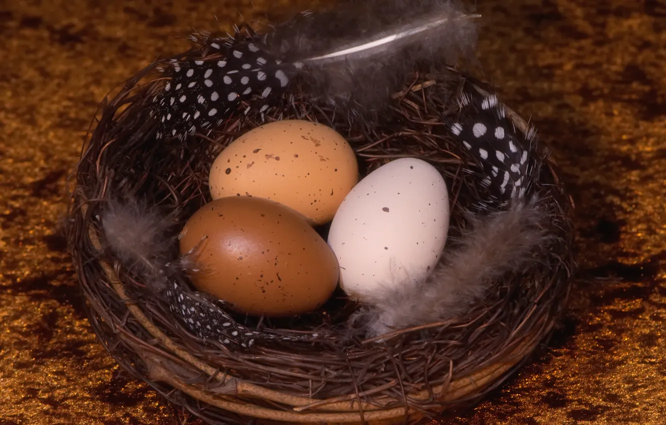 Photo wallpaper background, holiday, eggs, spring, feathers, Easter, socket, trio