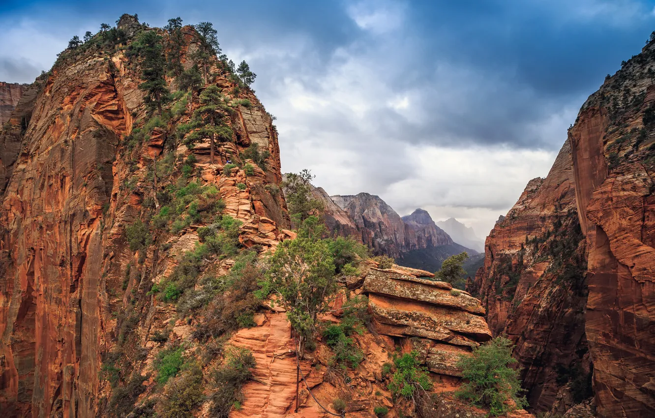 Photo wallpaper clouds, trees, mountains, stones, rocks, canyon, USA, Zion National Park