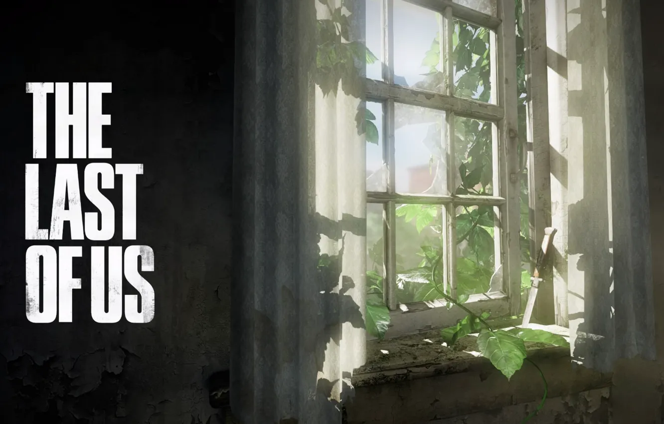 Photo wallpaper window, knife, curtains, The Last of Us, Some of us