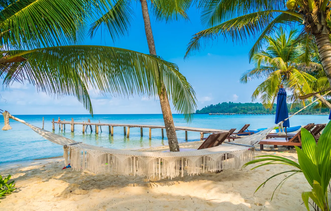 Photo wallpaper sea, beach, nature, tropics, palm trees, stay, blue water
