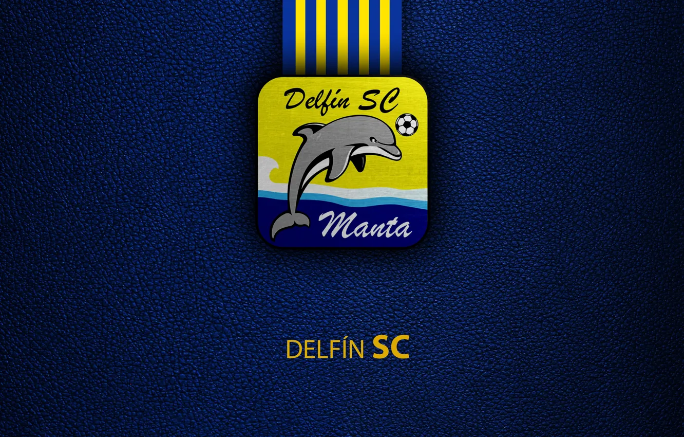 Photo wallpaper wallpaper, sport, logo, football, Delfin SC