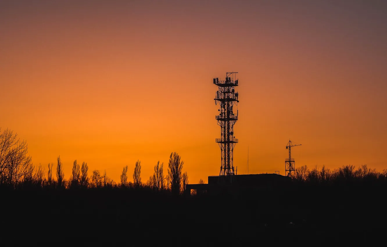 Photo wallpaper trees, sunset, the city