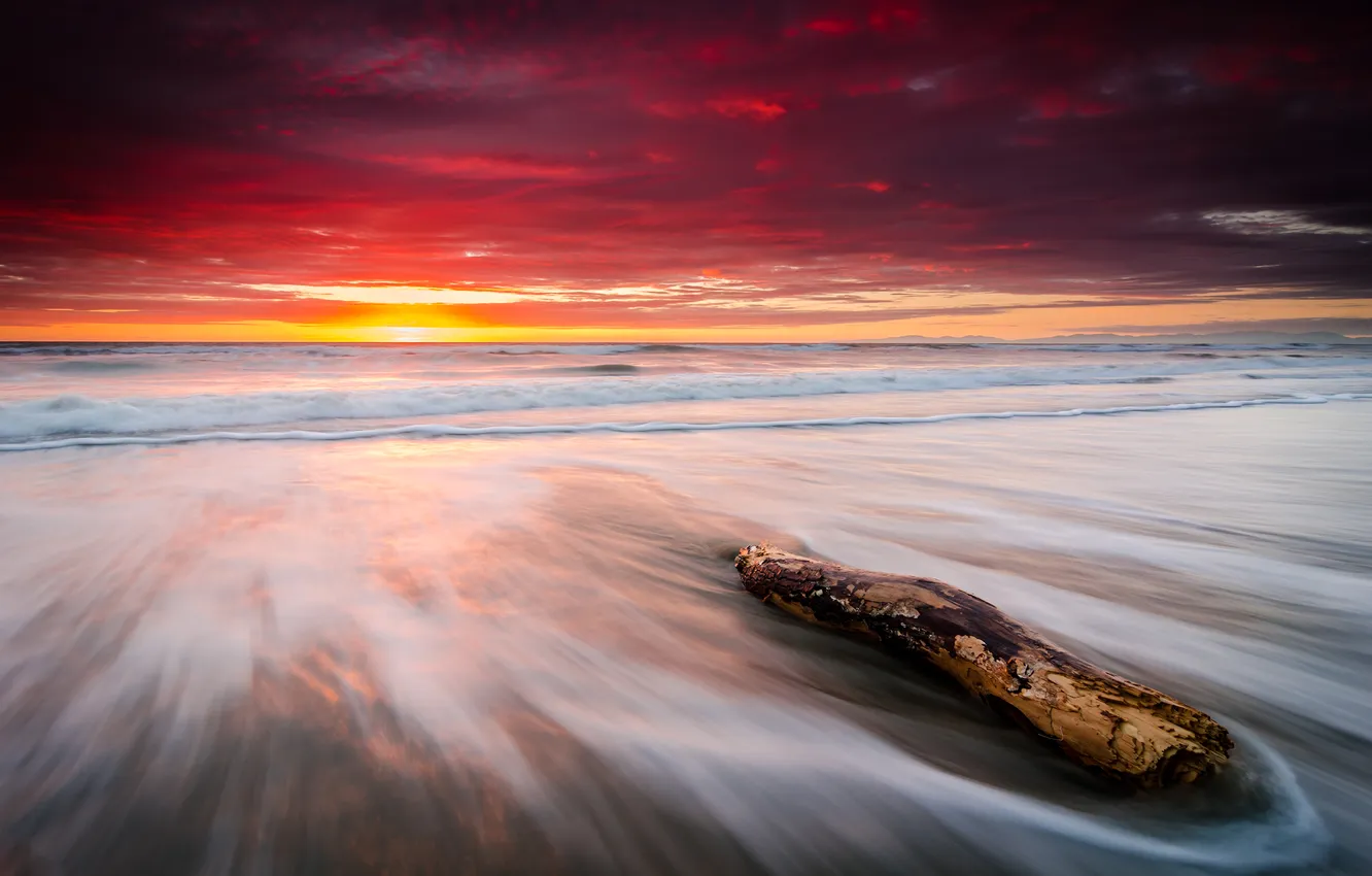 Photo wallpaper beach, the ocean, dawn, New Zealand, Leithfield Beach