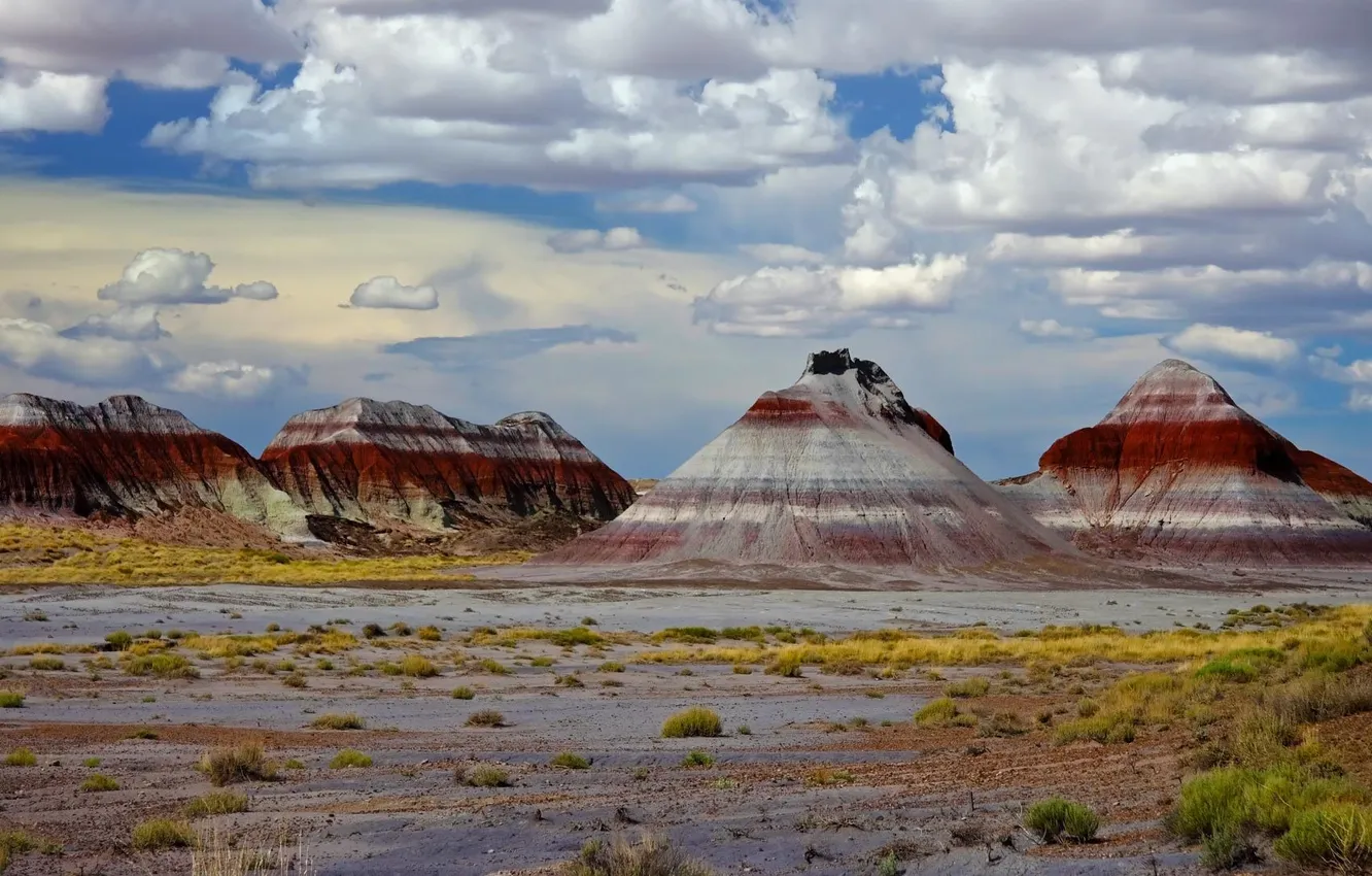 Photo wallpaper mountains, rocks, paint, AZ, USA, Petrified Forest National Park