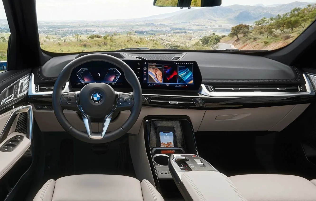 Photo wallpaper interior, crossover, BMW X1, U11