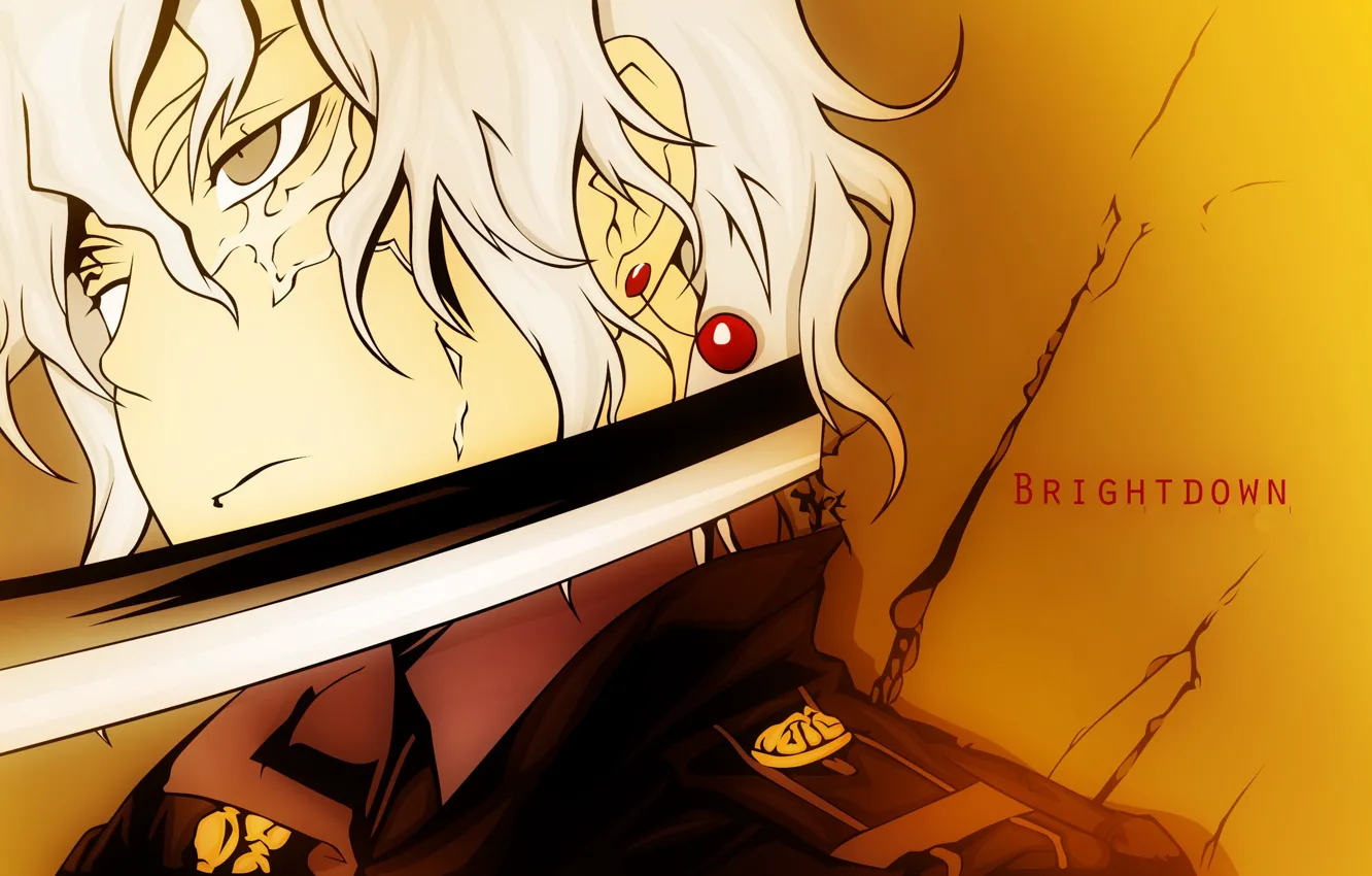 Photo wallpaper anime, art, guy, d.gray-man, All Walker