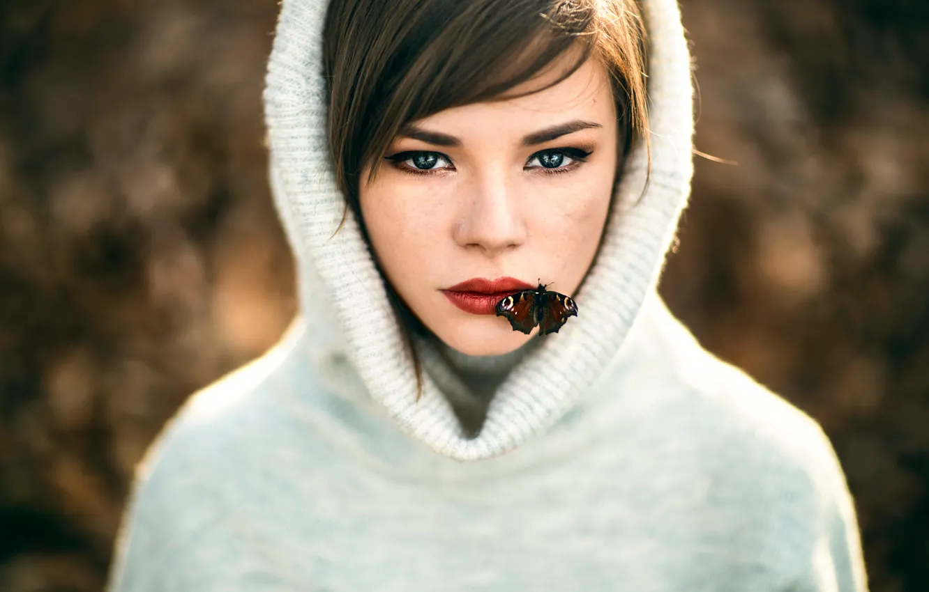 Photo wallpaper butterfly, girl, sponge