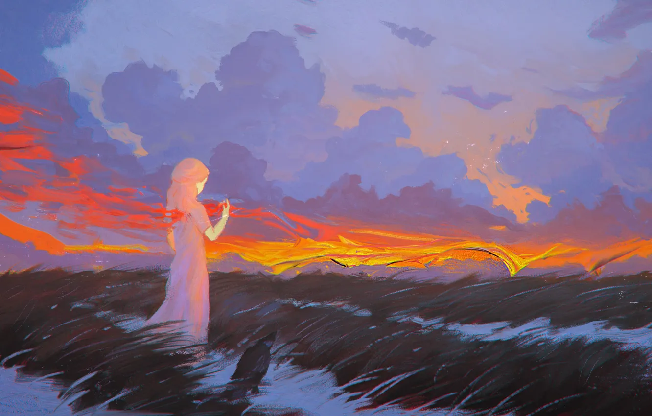 Photo wallpaper field, the sky, clouds, sunset, fire, the wind, bird, girl