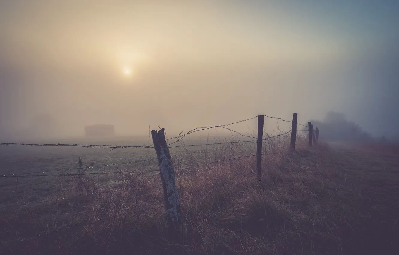 Photo wallpaper misty, field, morning, fog, fence, sunrise, dawn, drops