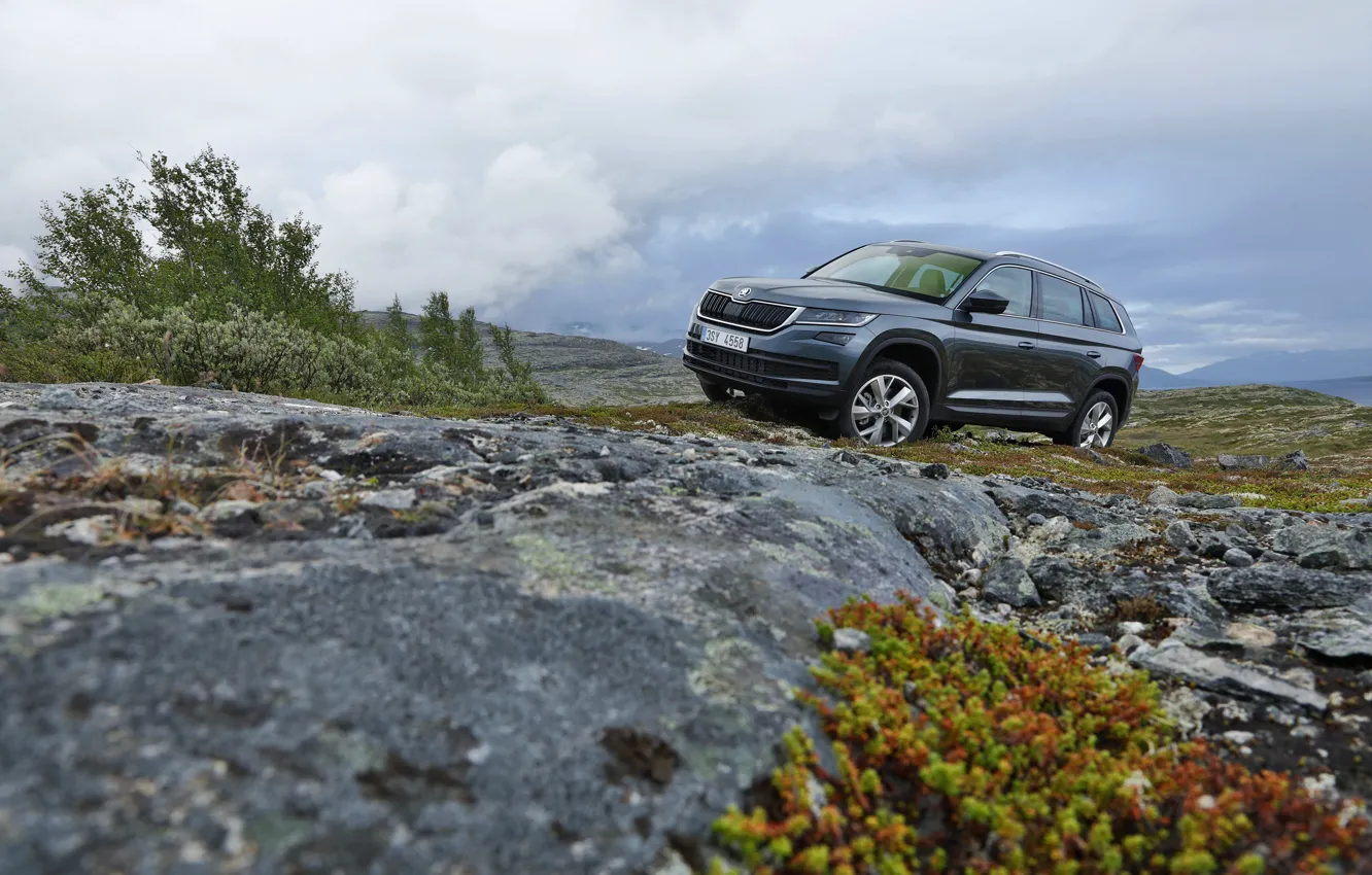 Photo wallpaper stones, rocks, vegetation, moss, SUV, Skoda, Skoda, 2016