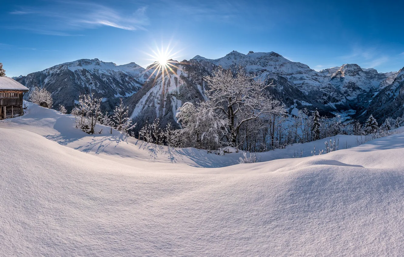 Photo wallpaper winter, forest, the sun, rays, snow, mountains