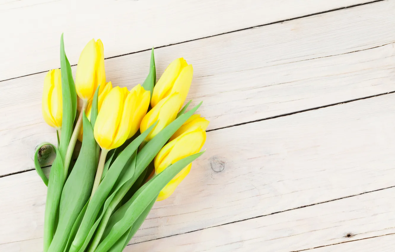 Photo wallpaper flowers, bouquet, tulips, wood, flowers, tulips, spring, bouquet