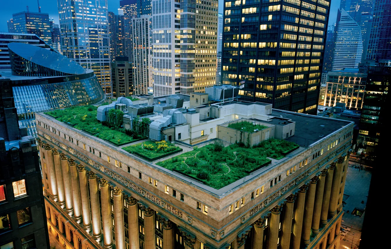 Photo wallpaper roof, skyscrapers, the evening, garden, Chicago, architecture, USA, terrace