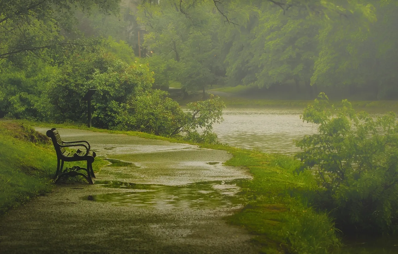 Photo wallpaper grass, road, river, rain, trees, park, bench
