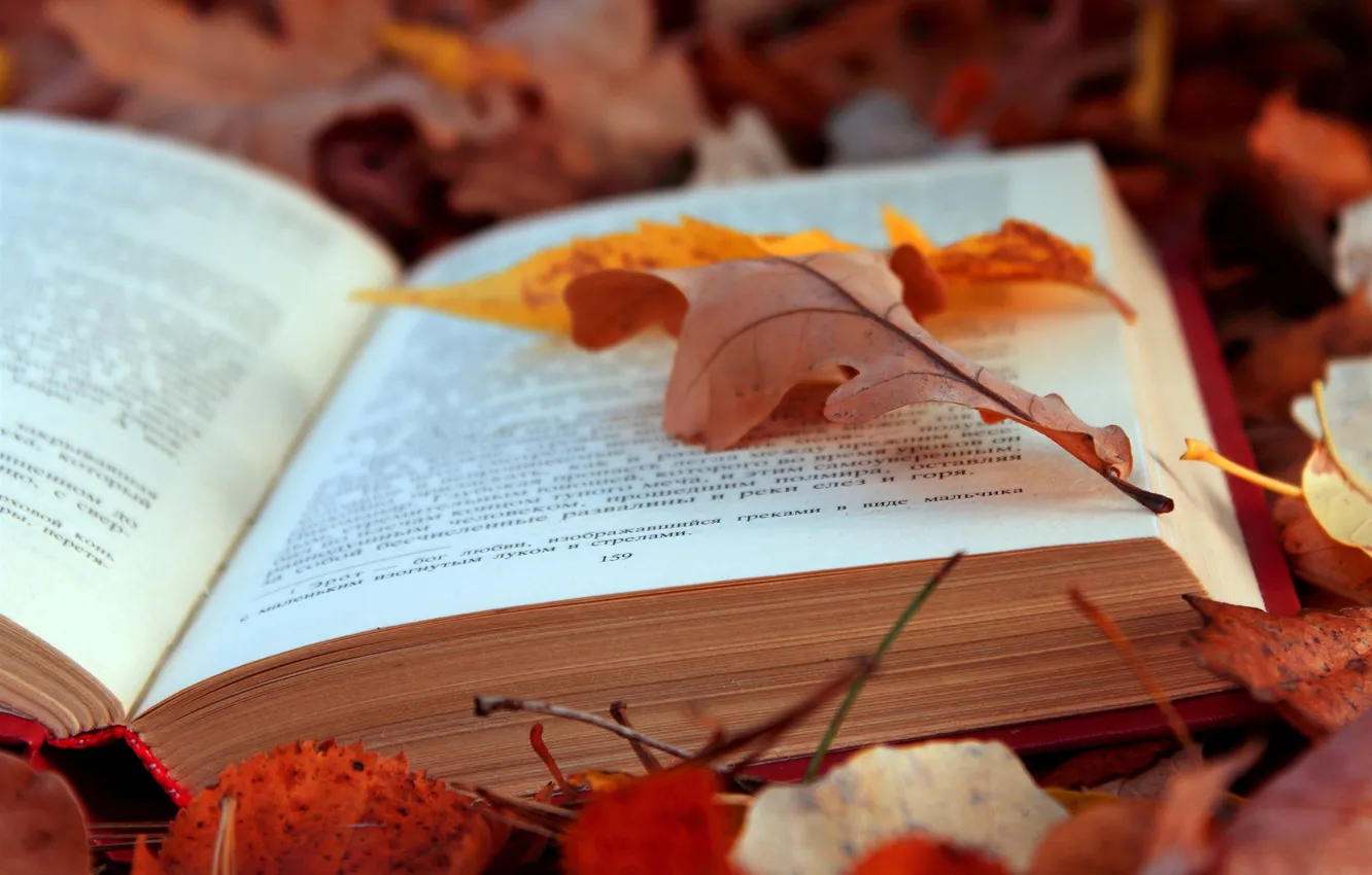 Photo wallpaper LEAVES, TEXT, AUTUMN, FOLIAGE, BOOK, PAGE