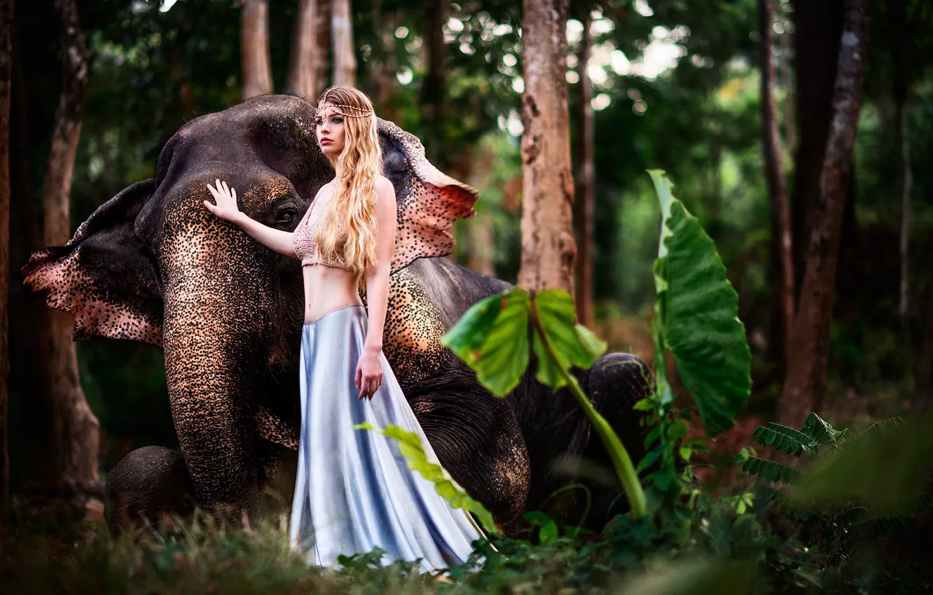 Photo wallpaper greens, forest, leaves, girl, trees, nature, elephant, jungle