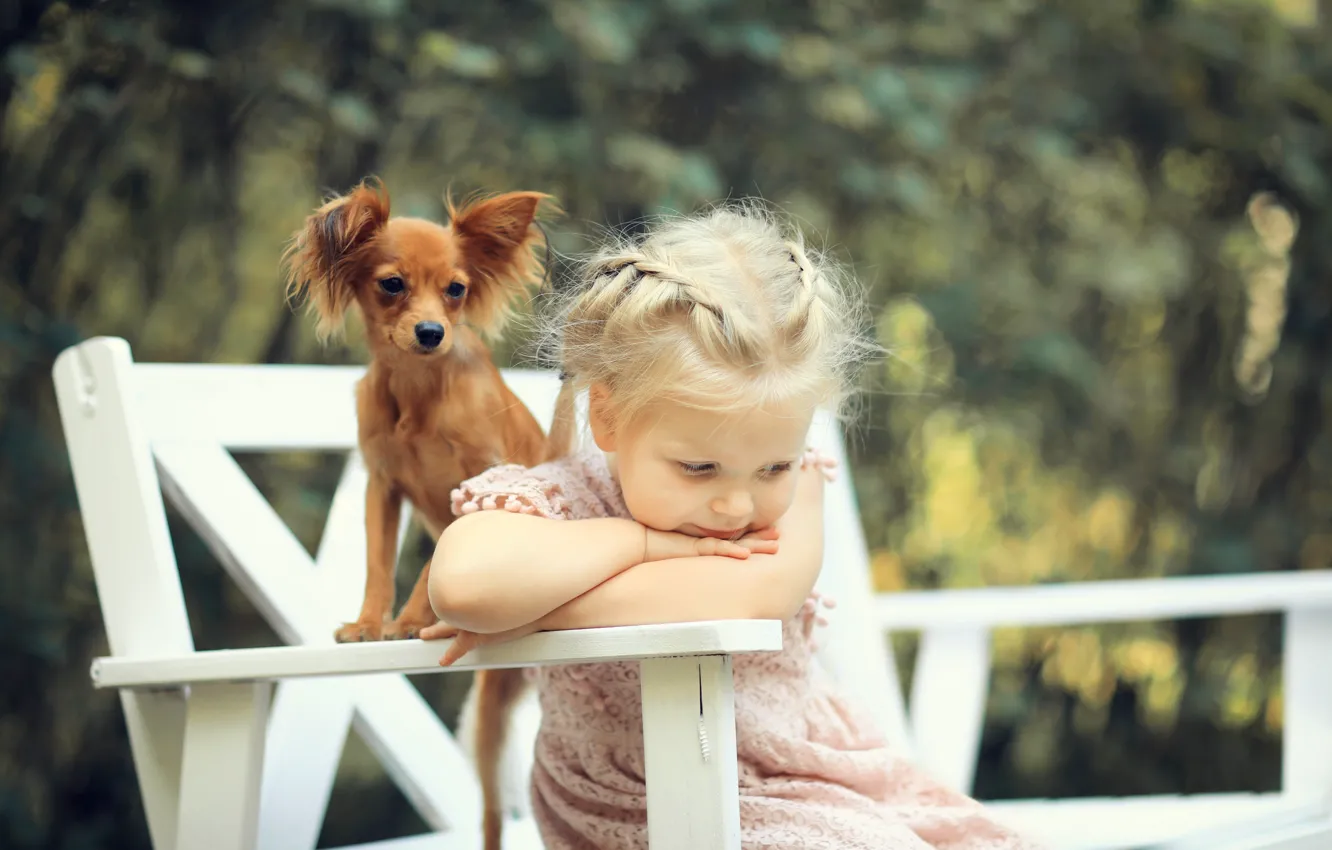 Photo wallpaper mood, dog, girl, Oksana Shatalina