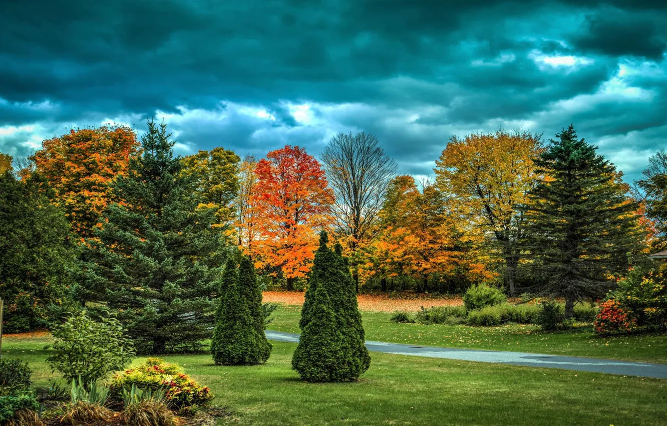 Photo wallpaper autumn, nature, Park