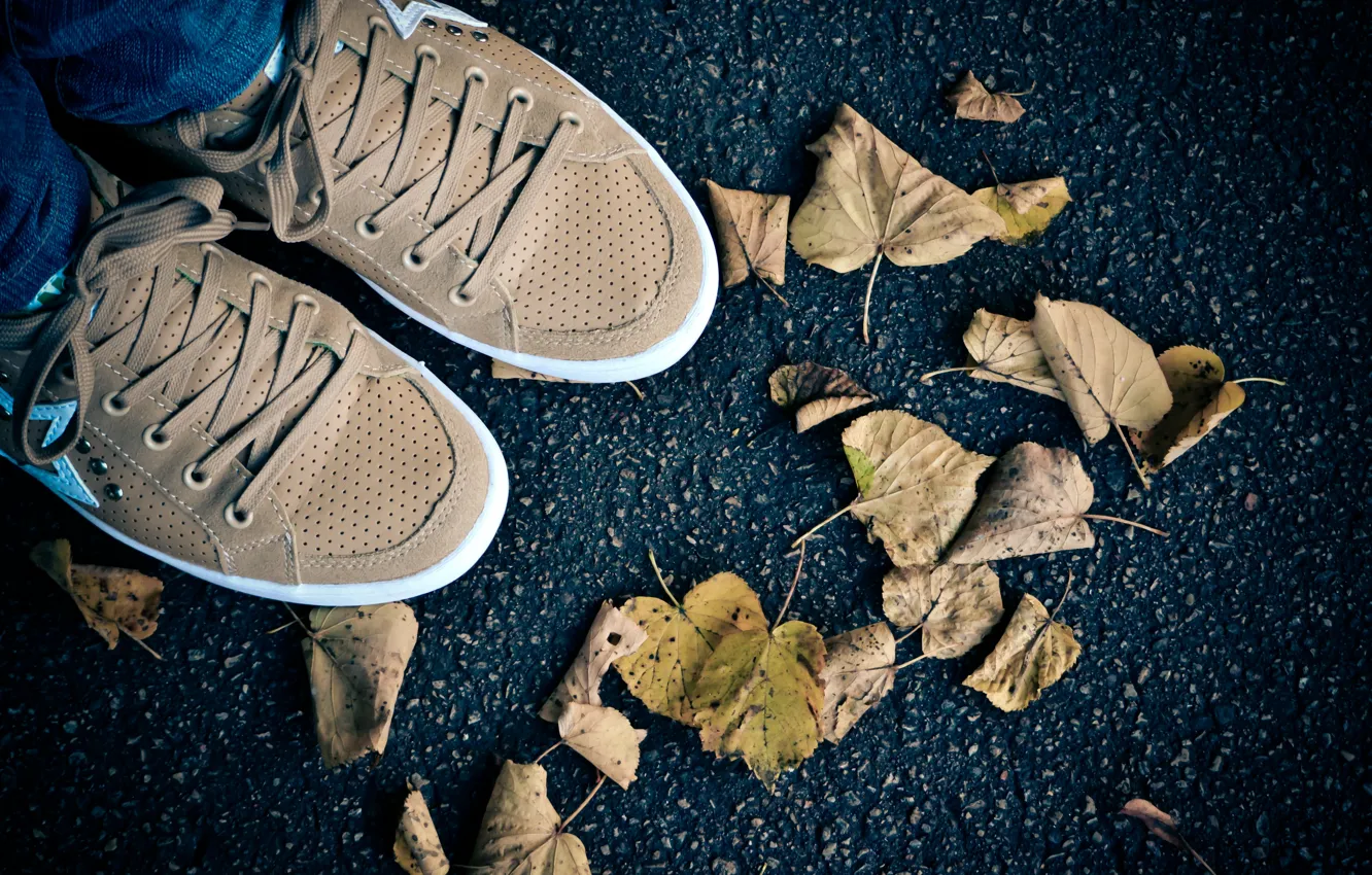 Photo wallpaper autumn, foliage, shoes, sneakers, journey, autumn mood, Riga, asphalt