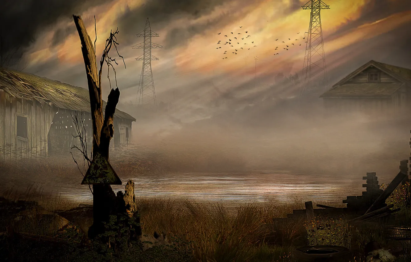Photo wallpaper swamp, Stalker, Stalker
