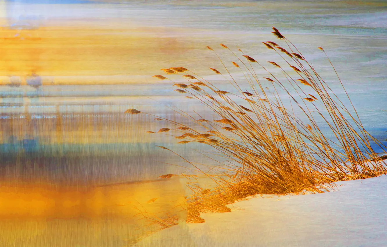 Photo wallpaper sand, grass, nature, shore, touch