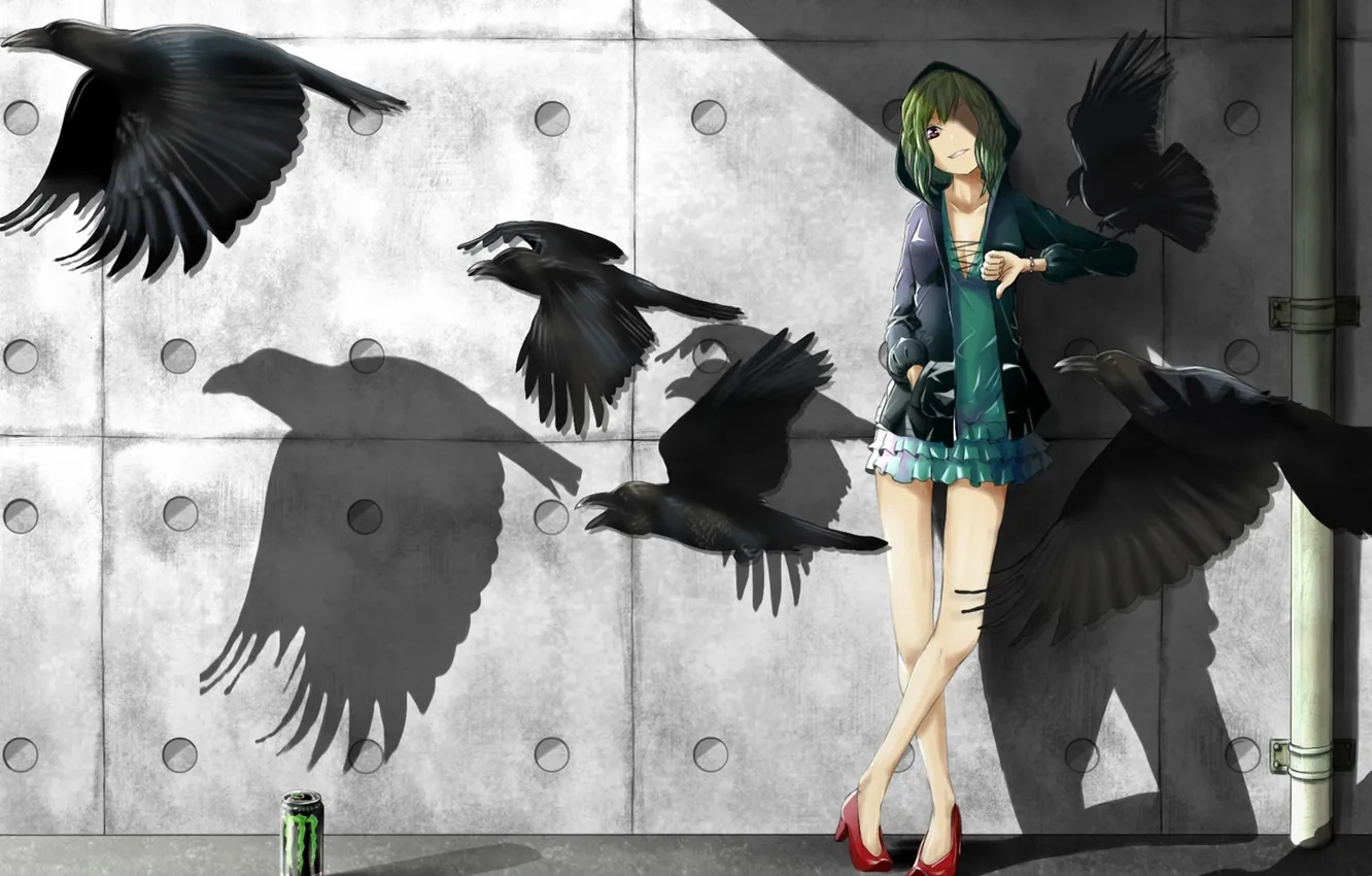 Photo wallpaper wall, bird, shadow, girl, Bank, crows, vocaloid, gumi