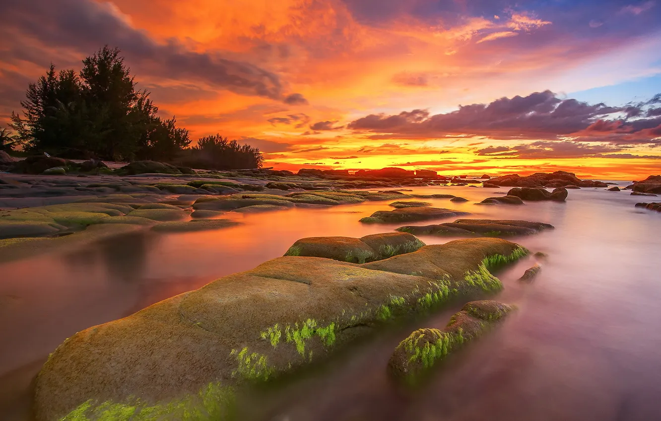 Photo wallpaper sea, sunset, stones