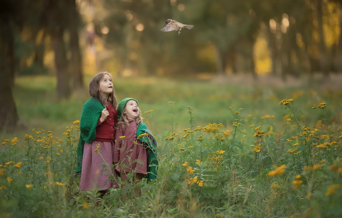 Photo wallpaper grass, trees, joy, nature, children, bird, glade, Sparrow