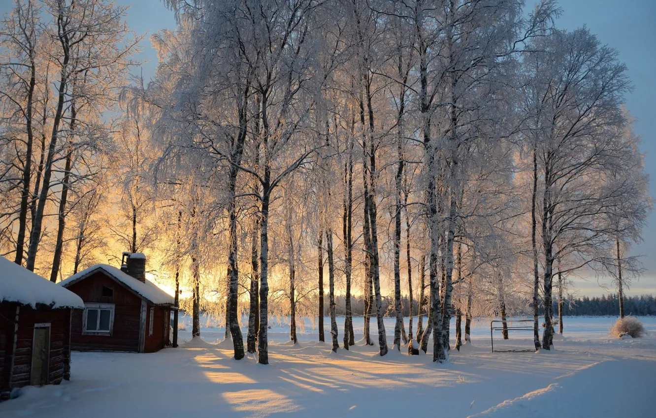 Photo wallpaper winter, snow, trees, sunrise, hut, birch, Finland, Finland