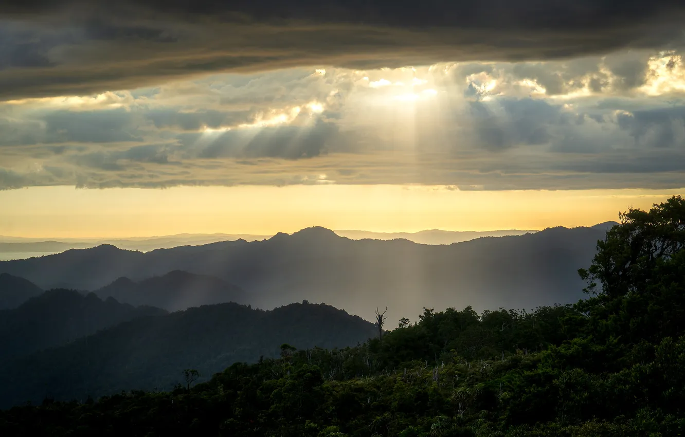 Photo wallpaper forest, mountains, the rays of the sun
