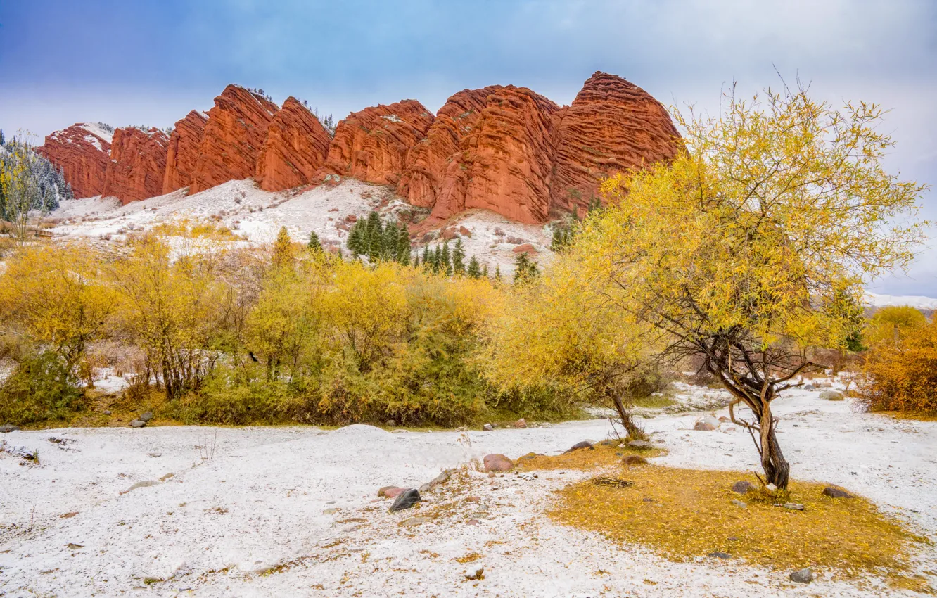 Photo wallpaper snow, trees, rocks, Kyrgyzstan, Issyk-Kul, Kyrgyzstan, Issyk-Kul Lake, Red rock Seven Bulls